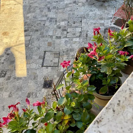 Casa Picicio Tatil Evi